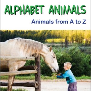 學齡前英語字母表A-Z學習動畫版-動物