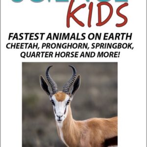 生命科學(國中.小)-地球上跑得最快動物獵豹、叉角羚、跳羚、夸特馬