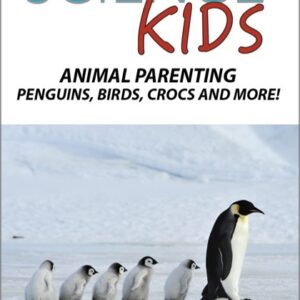 生命科學(國中.小)-動物育兒企鵝、鳥類、鱷魚
